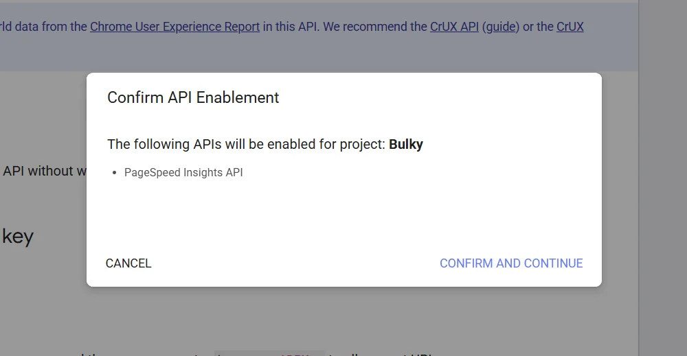 API Key Setup Step 4